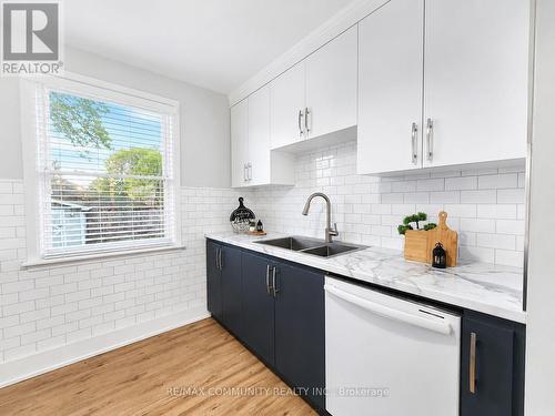 386 Whitney Avenue, Hamilton, ON - Indoor Photo Showing Kitchen With Double Sink With Upgraded Kitchen