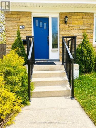 386 Whitney Avenue, Hamilton, ON - Outdoor With Exterior