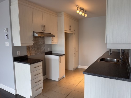 Kitchen - 13-9105 Rue Des Outardes, Mirabel, QC - Indoor Photo Showing Kitchen