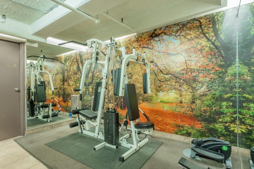 Salle d'exercice - 806-3470 Rue Simpson, Montréal (Ville-Marie), QC - Indoor Photo Showing Gym Room