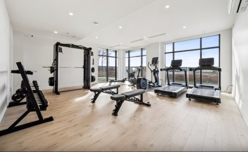 Exercise Room - 702-125 Rue Des Marronniers, Candiac, QC - Indoor Photo Showing Gym Room