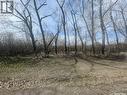 103 Poplar Road, Mclean, SK 