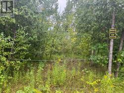 LOT 38 SUMCOT DRIVE  Trent Lakes, ON K0L 1J0