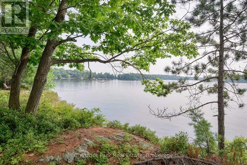 1 Rose Island, Gravenhurst (Morrison), ON - Outdoor With Body Of Water With View