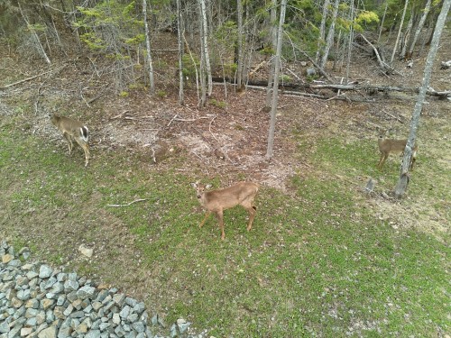 Photo aérienne - Ch. Des Marcheurs, Saint-Sauveur, QC 