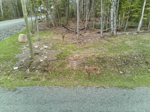 Photo aérienne - Ch. Des Marcheurs, Saint-Sauveur, QC 