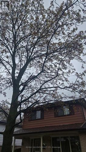 Lower Level - 106 Springdale Crescent, Oshawa, ON - Outdoor With View