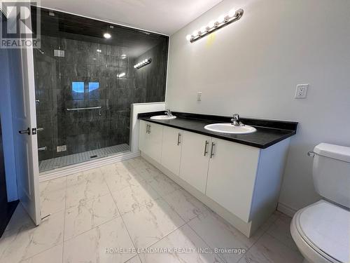 41 Sapphire Way, Thorold, ON - Indoor Photo Showing Bathroom