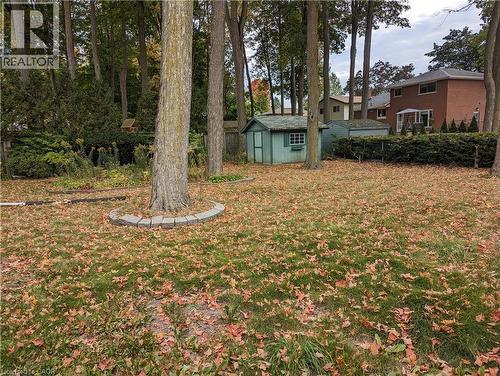 Expansive grassy yard with mature trees and a hedgerow. Shed has been removed. - 462 Hazel Street, Waterloo, ON 
