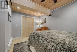 lower level 3rd Bedroom with Closet - 