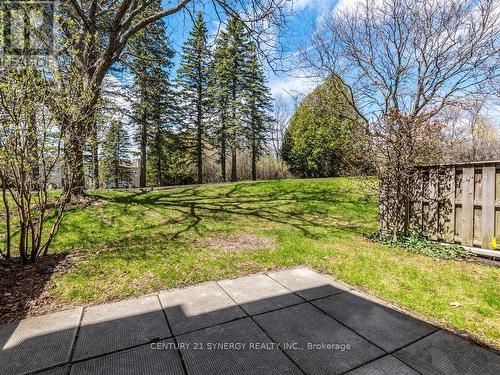 Backyard. Beautiful serene park-like setting. - 80 - 22C Maple Ridge Crescent, Ottawa, ON - Outdoor