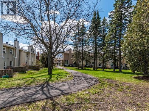 Backyard enjoy the setting and all the birds! - 80 - 22C Maple Ridge Crescent, Ottawa, ON - Outdoor