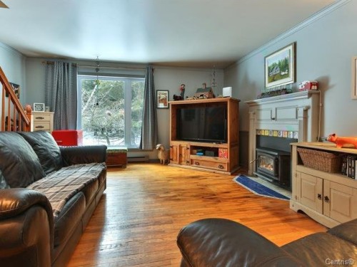 Salon - 75 6E Rang, Mont-Saint-Grégoire, QC - Indoor Photo Showing Living Room With Fireplace