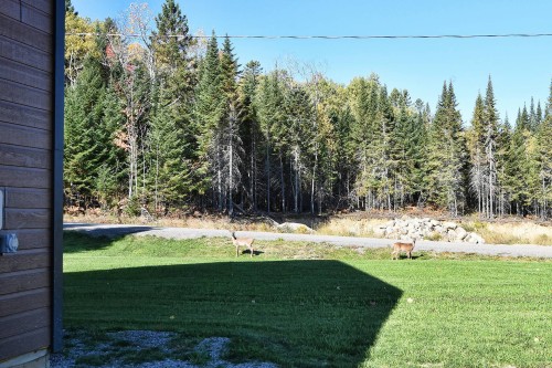 Terre/Terrain - 110 Ch. Des Aigles, Saint-Michel-Des-Saints, QC - Outdoor