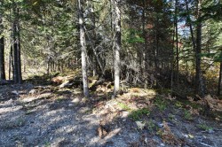 Terre/Terrain - 