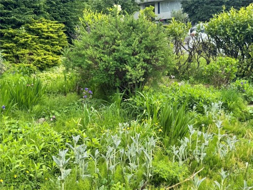 780 Westmere Rd, Campbell River, BC 