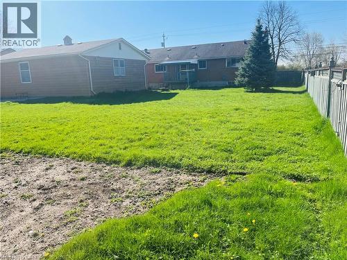 Expansive green lawn with mature evergreen tree and wood privacy fencing - 157 Schweitzer Street, Kitchener, ON - Outdoor