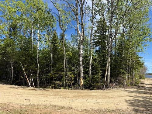 990 M2 Allée Abbé Pointe, Shippagan, NB 