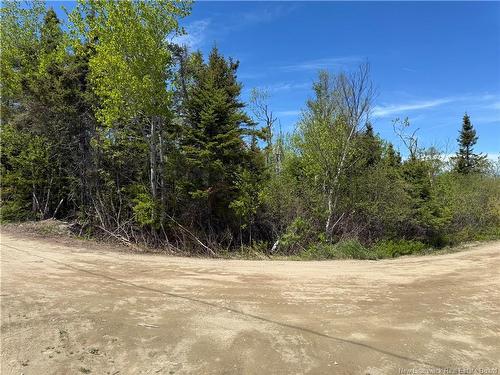 990 M2 Allée Abbé Pointe, Shippagan, NB 