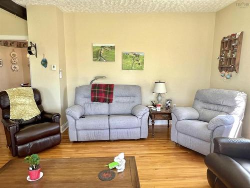 31 Macnaughton Road, Lyons Brook, NS 