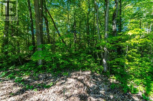 24 Poplar Drive, Tiny, ON - Outdoor