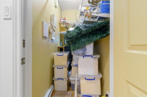 Storage - 37 Av. Cartier, Pointe-Claire, QC - Indoor Photo Showing Basement