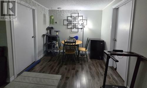 17 Carty Place, Corner Brook, NL 