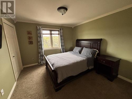 54 Forest River Road, Torbay, NL 