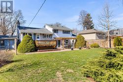 Back Yard - 