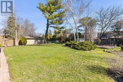 Back Yard - 
