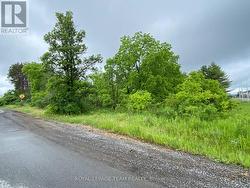LOT 1 MADAWASKA BOULEVARD  Arnprior, ON K7S 3H6