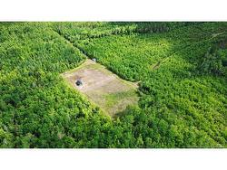 LOT/CAMP Sapin Court Rogersville, NB E4Y 1W5