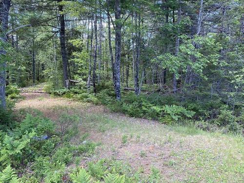 Lot 3 Highway 8, Harmony, NS 