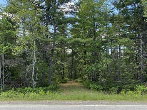 Lot 3 Highway 8, Harmony, NS 