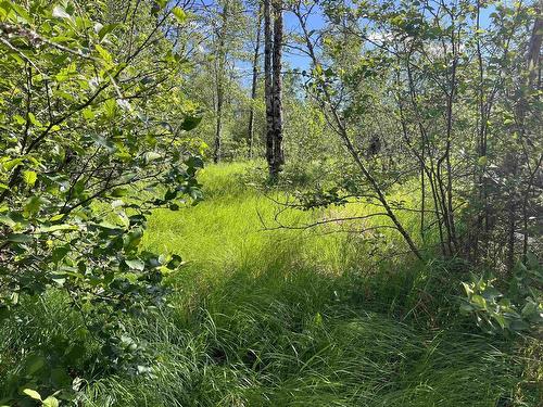 Lot 3 Highway 8, Harmony, NS 
