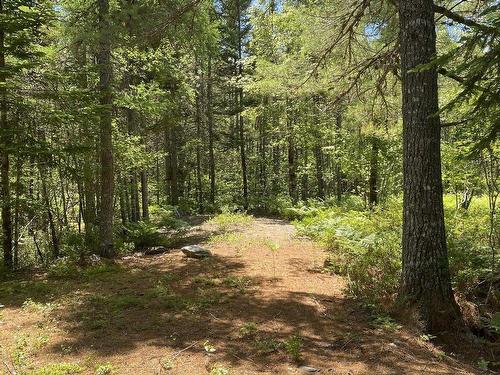 Lot 3 Highway 8, Harmony, NS 