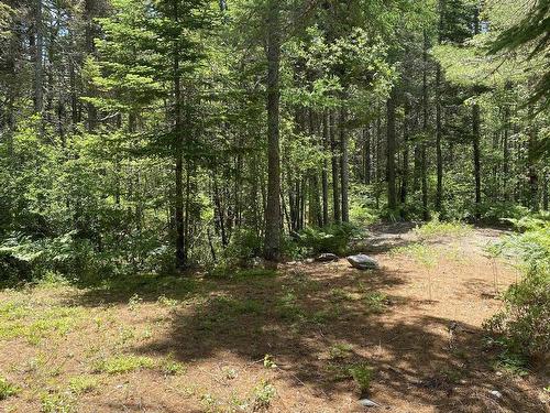 Lot 3 Highway 8, Harmony, NS 
