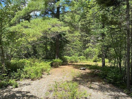 Lot 3 Highway 8, Harmony, NS 
