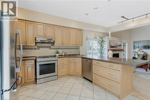 227 Chestnut Hill Crescent, Kitchener, ON - Indoor Photo Showing Kitchen