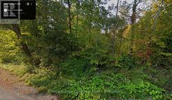 0 NORTHERN AVENUE  Trent Lakes, ON K0L 1J0