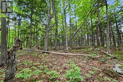 634 CONCESSION 5A DALHOUSIE Lanark Highlands, ON K0G 1K0
