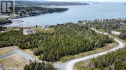 20 Lakeside Drive  South Dildo, NL A0B 1R0