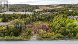 0 Main Road  Tors Cove, NL A0A 4A0