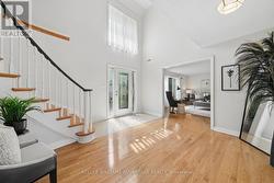 Lots of natural light - 