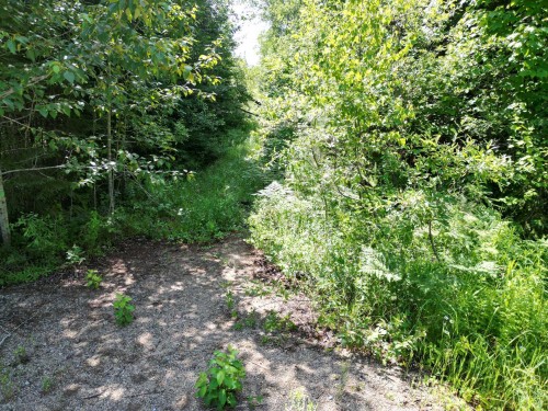 Entry - 4E Rang, Saint-Alphonse-Rodriguez, QC 