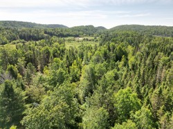 Overall view - 