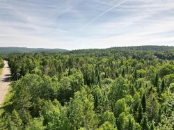 Overall view - 