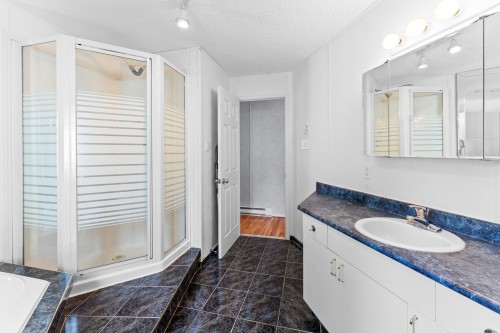 Salle de bains - 55-1495 Mtée Masson, Laval (Duvernay), QC 