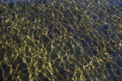 Waterfront - 