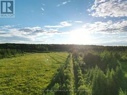 29 HIGHWAY 522 Powassan (Trout Creek), ON P0H 2L0